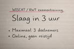 Slaag voor je WISCAT / RWT – Examentraining (max. 3 pers), Privéles, Remedial teaching