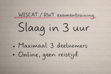 Loop je vast op RWT/WISCAT (Pabo)? 3 uur training, Privéles, Bijles