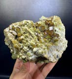 Demantoïde granaatkristallen - bos Mineralencollectie -