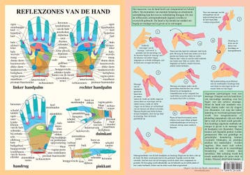 Anatomie poster handreflexologie (Nederlands, gelamineer..., Nieuw