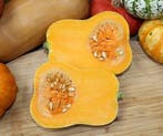 Butternut butterbaby f1 pmt kleinverpakking aanrader, Ophalen of Verzenden, Nieuw