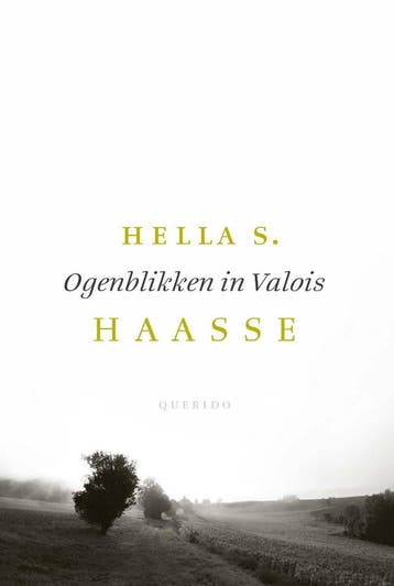 Ogenblikken in Valois (Goed), Verzenden, Gelezen, Hella S. Haasse