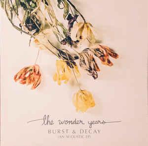 12 inch nieuw - The Wonder Years - Burst &amp; Decay (An..., Verzenden, Zo goed als nieuw, 12 inch, Rock en Metal