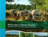 Natuurlijk zuidoost-Drenthe - Linda de Vries 9789491640148, Verzenden, Gelezen, Linda de Vries
