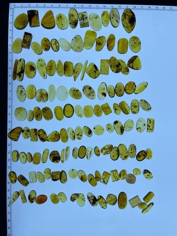 Barnsteen - 100 pieces of Burmese amber including