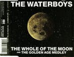 cd single - The Waterboys - The Whole Of The Moon, Verzenden, Zo goed als nieuw