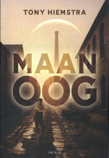 Maanoog | Tony Hiemstra | Nieuw, Ophalen of Verzenden, Nieuw, Tony Hiemstra