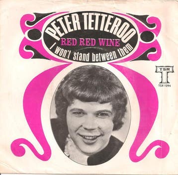 vinyl single 7 inch - Peter Tetteroo - Red Red Wine, Verzenden, Zo goed als nieuw, 7 inch, Pop
