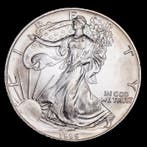 Verenigde Staten. 1 Dollar 1995 Liberty 1 Oz. (999)