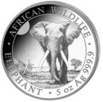 Somalische Olifant 5 oz 2025, Postzegels en Munten, Munten | Afrika, Verzenden, Overige landen, Losse munt, Zilver