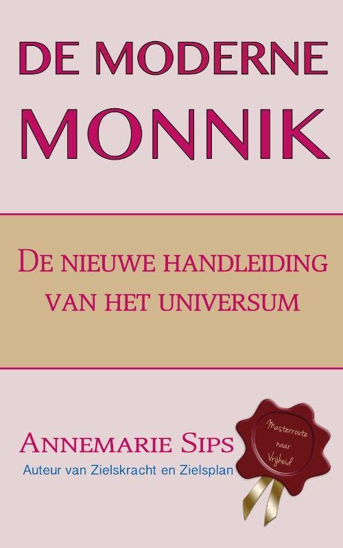 De moderne monnik 9789082879704 Annemarie Sips, Boeken, Politiek en Maatschappij, Zo goed als nieuw, Verzenden