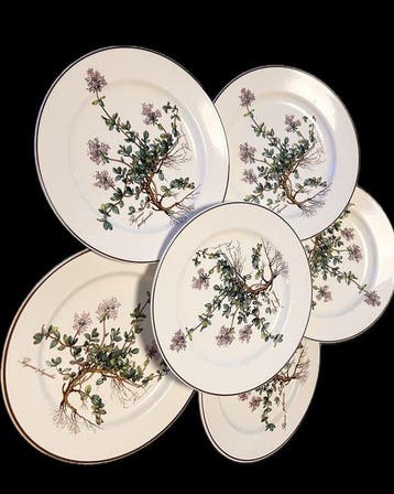 Villeroy & Boch - Bord (6) - Botanica - Porselein
