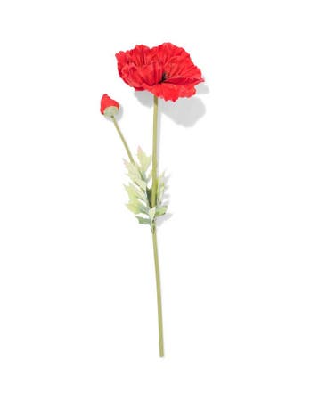 HEMA Kunstbloem klaproos 55cm rubber rood, Verzenden