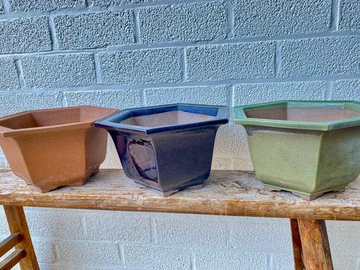 Bonsai potten 3 stuks - Hoogte (boom): 0 cm - Diepte (boom):, Antiek en Kunst, Curiosa en Brocante