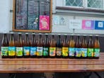 Pinta - Diverse ales - zie beschrijving - 50cl - 18 flessen, Nieuw