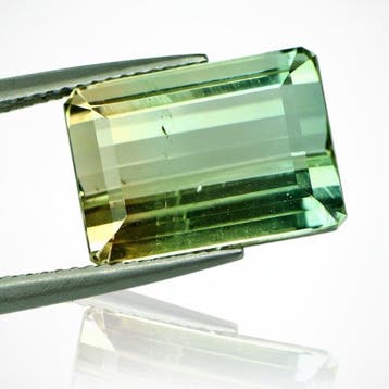 1 pcs Groen, Geel, Tweekleurig Toermalijn - 12.21 ct -, Nieuw