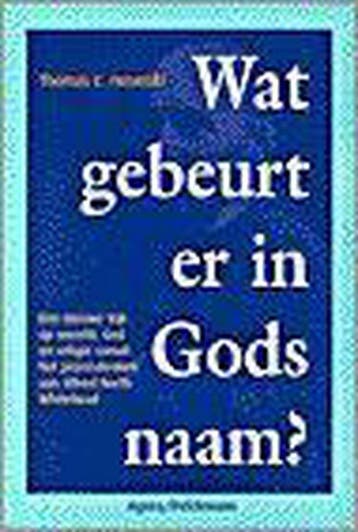 WAT GEBEURT ER IN GODS NAAM - T.E. Hosinski 9789039107911, Boeken, Verzenden, Gelezen, T.E. Hosinski