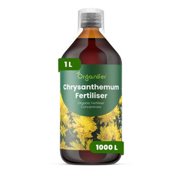 Chrysant Vloeibare meststof - 1 liter, Verzenden, Mest