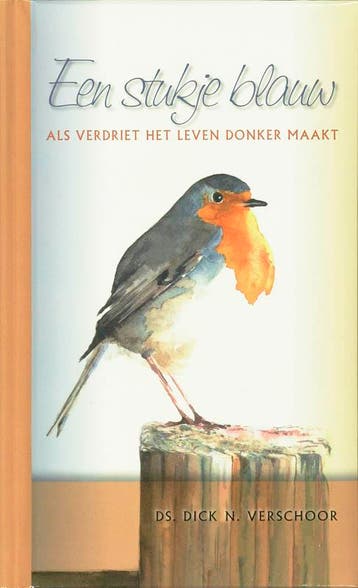 Een stukje blauw - D.N. Verschoor 9789076890210, Verzenden, Gelezen, D.N. Verschoor