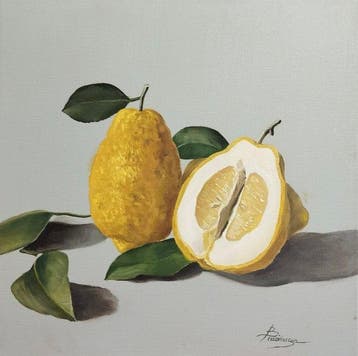 Franco Bencivenga (1953) - Limoni