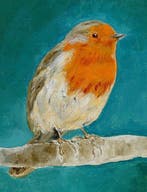 Matthieu van Riel - Robin