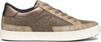 GEOX - maat 38- D BLOMIEE Dames Veterschoenen - TAUPE, Kleding | Dames, Schoenen, Verzenden, Nieuw