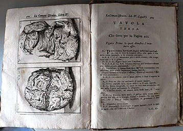 Sebastiano Melli - La Comare Levatrice istruita nel suo, Antiek en Kunst, Antiek | Boeken en Bijbels