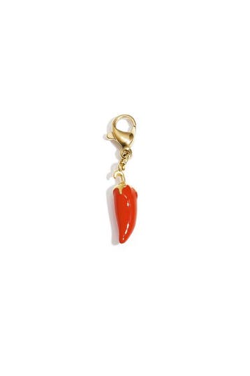 Goudlief Sieradenbedels chili casual dagelijks eenvoudig..., Verzenden, Nieuw, Overige materialen, Overige merken