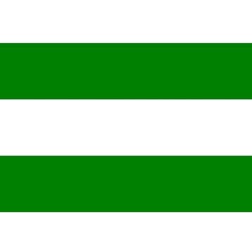 Rotterdamse Vlag Rotterdam, Nieuw