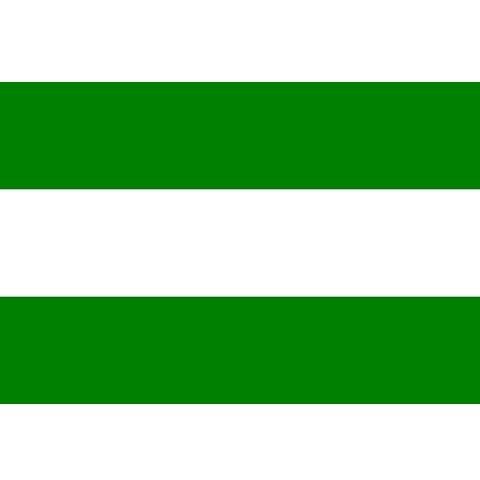 Rotterdamse Vlag Rotterdam, Diversen, Vlaggen en Wimpels