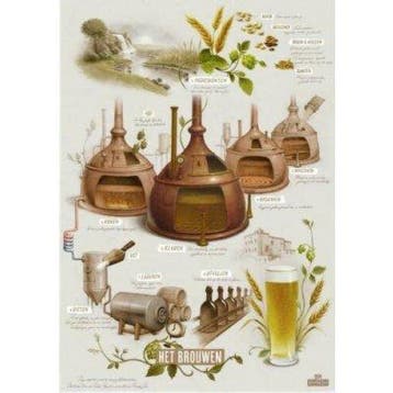 Hertog jan poster het brouwen, Ophalen of Verzenden, Nieuw