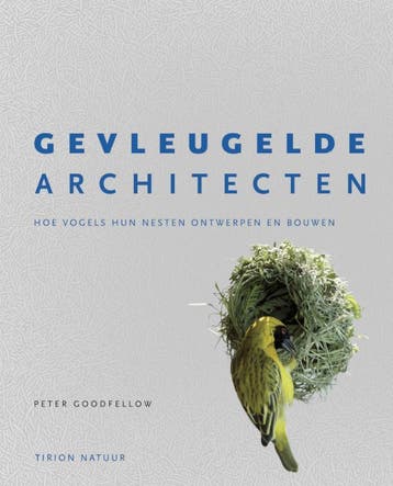 Gevleugelde architecten - Peter Goodfellow 9789052103075, Verzenden, Gelezen, Peter Goodfellow