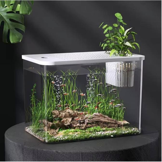 Transparant Aquarium met Deksel – Vissentank en Schildpad, Dieren en Toebehoren, Vissen | Aquaria en Toebehoren, Nieuw, Verzenden