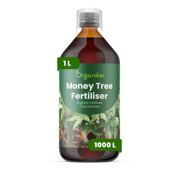 Vloeibare meststof Geldboom - 1 liter, Verzenden, Mest