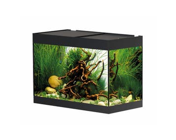 Oase StyleLine 125 Zwart - Aquarium, Dieren en Toebehoren, Ophalen of Verzenden, Nieuw