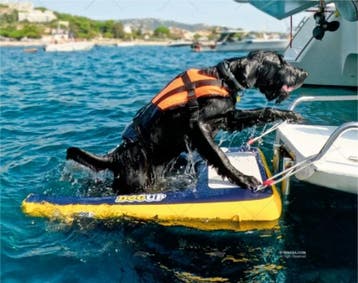 DOG UP — opblaasbare hondentrap voor de boot, Ophalen of Verzenden, Nieuw