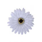 Hawaii party haarbloemen wit - Haarbloemen, Ophalen of Verzenden, Nieuw