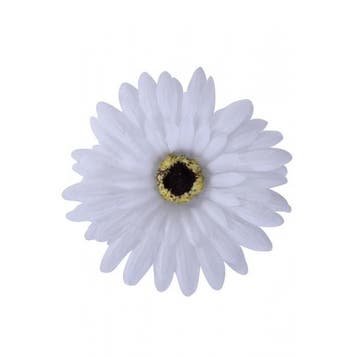 Hawaii party haarbloemen wit - Haarbloemen, Ophalen of Verzenden, Nieuw