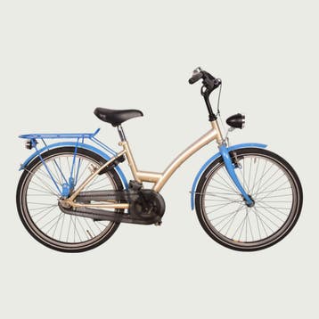 BikeFlip kinderfiets 22 inch, Ophalen of Verzenden, Gebruikt, BikeFlip