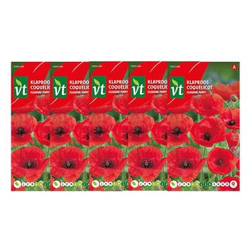 Klaprooszaad | VT | 5 stuks (Rood), Verzenden