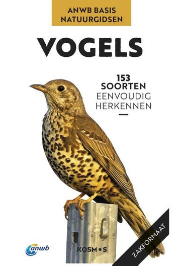 Vogels / ANWB Basis Natuurgids - Volker Dierschke, Verzenden, Zo goed als nieuw, Volker Dierschke