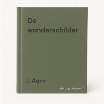 De wonderschilder 9789020932027 J. Agee, Verzenden, Zo goed als nieuw, J. Agee