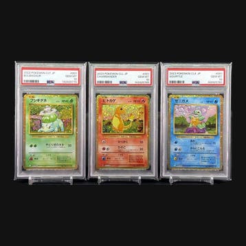 Pokémon - 3 Graded card - Bulbasaur, Charmander, Squirtle, Nieuw