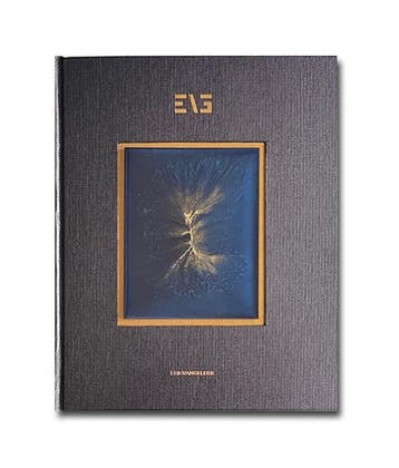 Masterly | Erik Gelder | Nieuw, Ophalen of Verzenden, Nieuw, Erik Gelder