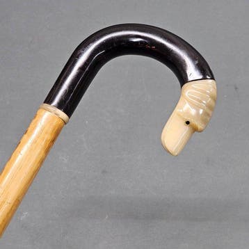 Wandelstok - Hoorn, Hout - Jachtstok van echt hoorn