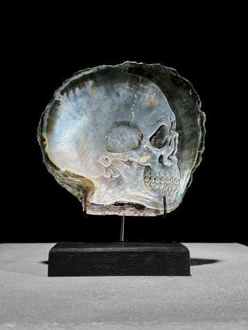 Fijn uitgehouwen parelmoeren schelp - menselijk, Nieuw