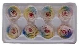 Geconserveerde rozen geprepareerd regenboog soft doos 8, Ophalen of Verzenden, Nieuw