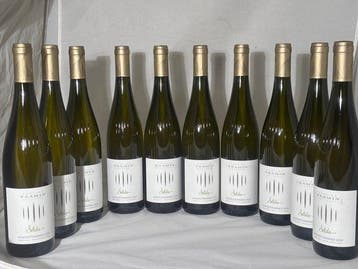 2024 Tramin, Gewurztraminer Selida - Alto Adige DOC - 10, Nieuw