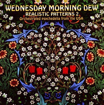 cd - Various - Wednesday Morning Dew (Realistic Patterns..., Cd's en Dvd's, Verzenden, Zo goed als nieuw