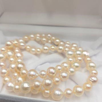 Halsketting Zilver Parel - Akoya 8,5 mm 26 inch, Nieuw